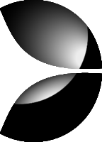 Senior QA Automation Engineer