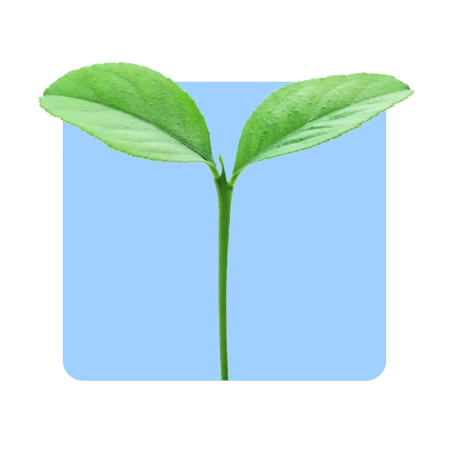 <span>Grow in Your Own Way</span>