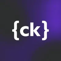 Senior IT Project Manager