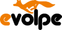 Customer Success Manager/ IT Account Manager