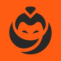 WordPress Developer
