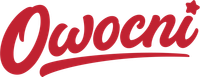 Projektant stron WordPress
