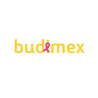 BUDIMEX S.A.