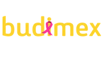 BUDIMEX