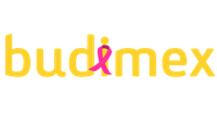 BUDIMEX