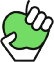 Flutter Developer