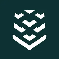 Senior Financial Manager