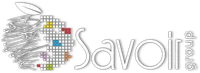 Promotor marki Samsung – RTV & AGD