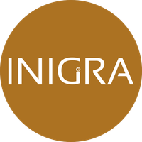 AI Engineer (Vapi / Flutter)