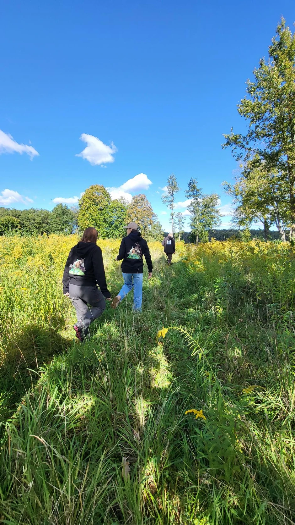 Trzy osoby w bluzach z nadrukiem idą przez słoneczną łąkę otoczoną zielenią i drzewami