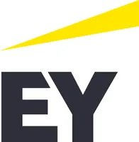 EY GDS Internship Program - Junior PMO Consultant with German or French