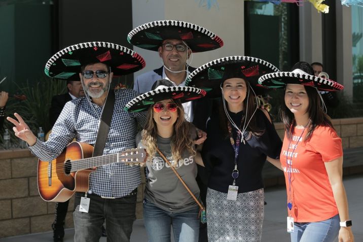 Our Teams and Culture