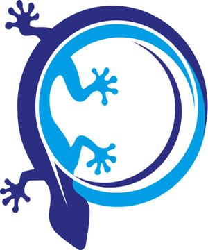 Gekko Photonics