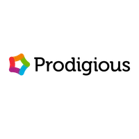 Motion Designer