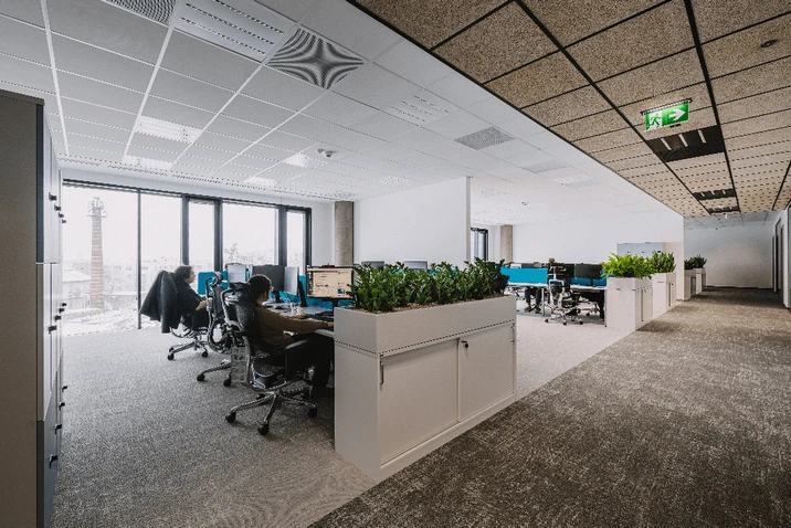 Nowoczesne biuro z przestrzenią coworkingową, stanowiskami pracy i zielonymi roślinami przy jasnych oknach