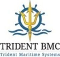 HR Project Manager