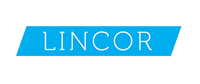 Senior Developer