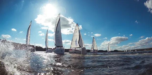 <span>Our culture</span>