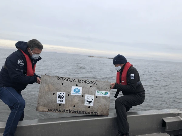 Dwóch pracowników w kamizelkach ratunkowych i maseczkach na morzu trzyma tablicę z logo WWF i innymi znakami organizacji.