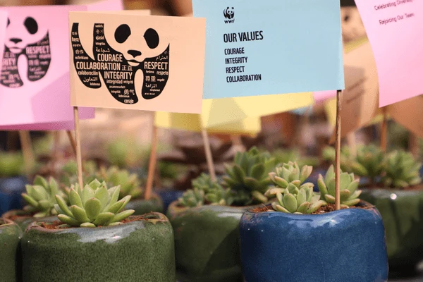 Małe sukulenty w ceramicznych doniczkach z kolorowymi flagami prezentującymi wartości firmy