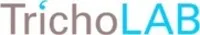 .NET Developer Senior