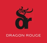 Brand Consultant / Strateg - Dragon Rouge