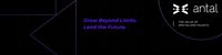 SAP Cluster Lead  SAP FI/CO (2nd line support)