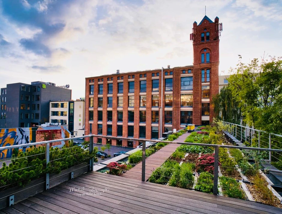 Widok na nowoczesny biurowiec z czerwonej cegły obok zielonego dachu i urbanistycznej przestrzeni miasta o zachodzie słońca