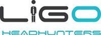 Implementation Developer (more technical background)