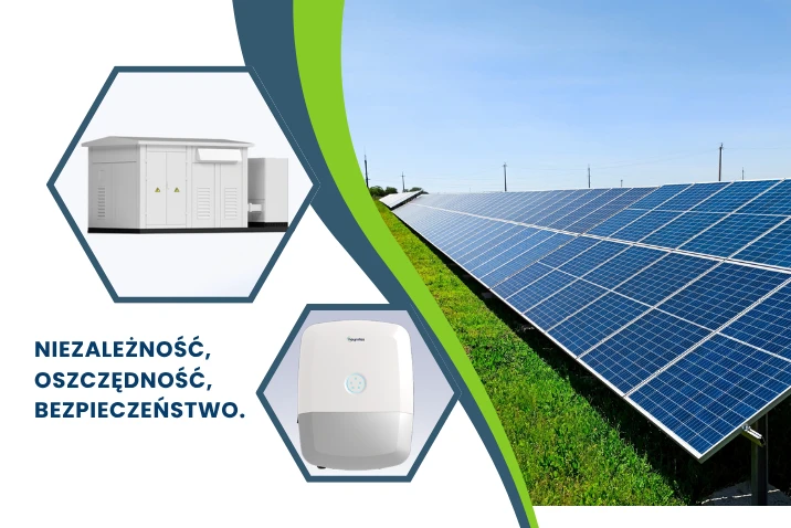 Dlaczego Polentis Energy?