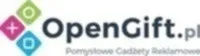 Senior E-commerce Project Manager